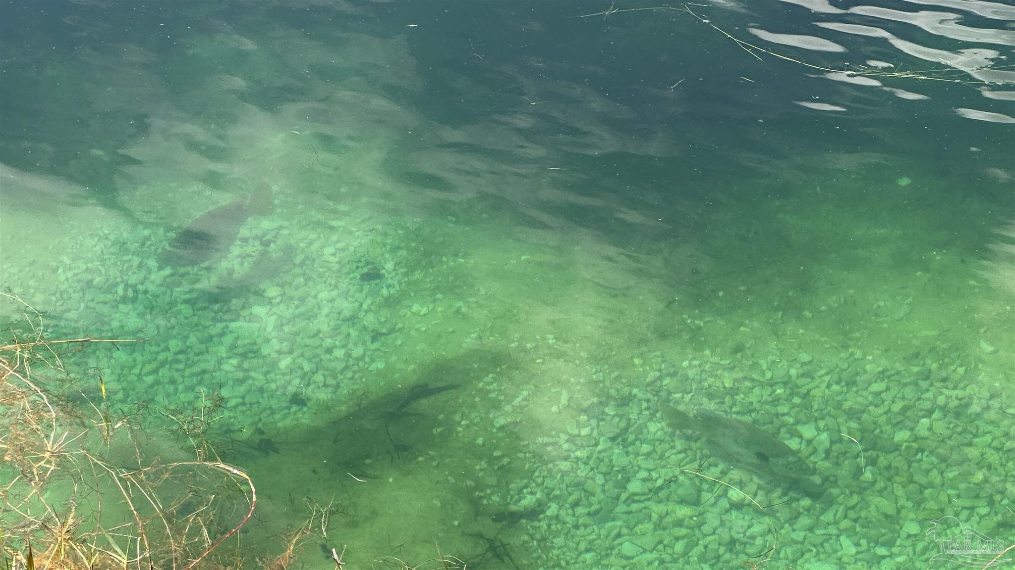 1886 Schnoor Road Jay, FL 32565 - Photo 22 of 32