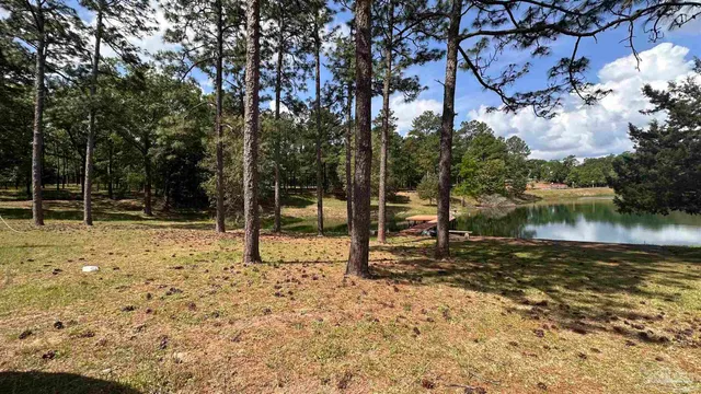 a backyard of a house with lots of green space