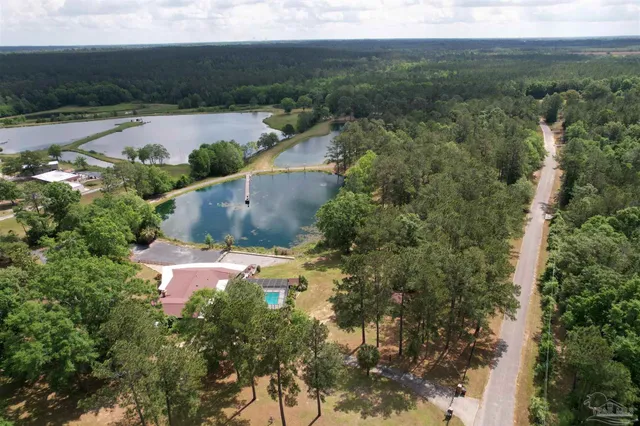 an aerial view of residential houses with outdoor space and trees