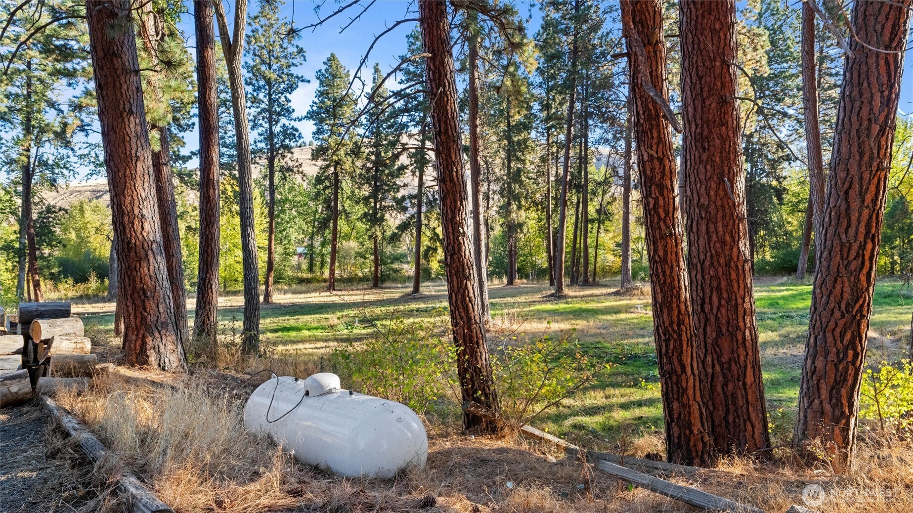 106 Wolf Ridge Lane Dayton, WA 99328 - Photo 30 of 40 a view of a couches in the patio
