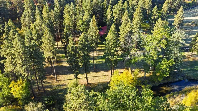 a view of swimming pool from a garden