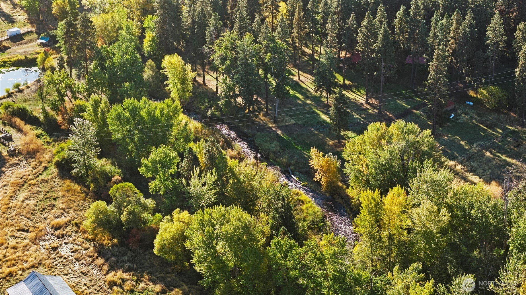 106 Wolf Ridge Lane Dayton, WA 99328 - Photo 33 of 40 a view of a tree