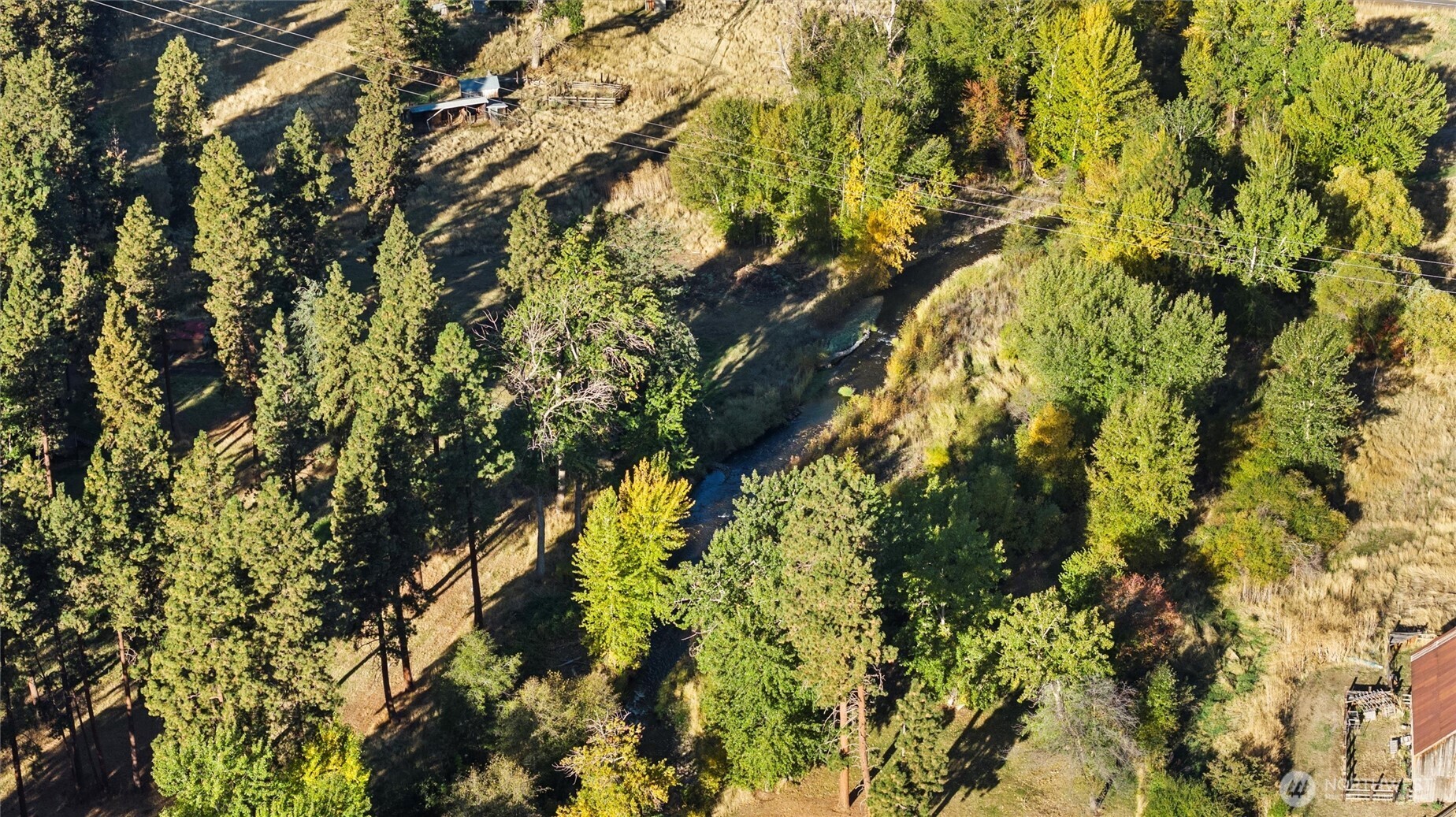 106 Wolf Ridge Lane Dayton, WA 99328 - Photo 38 of 40 a picture of tree