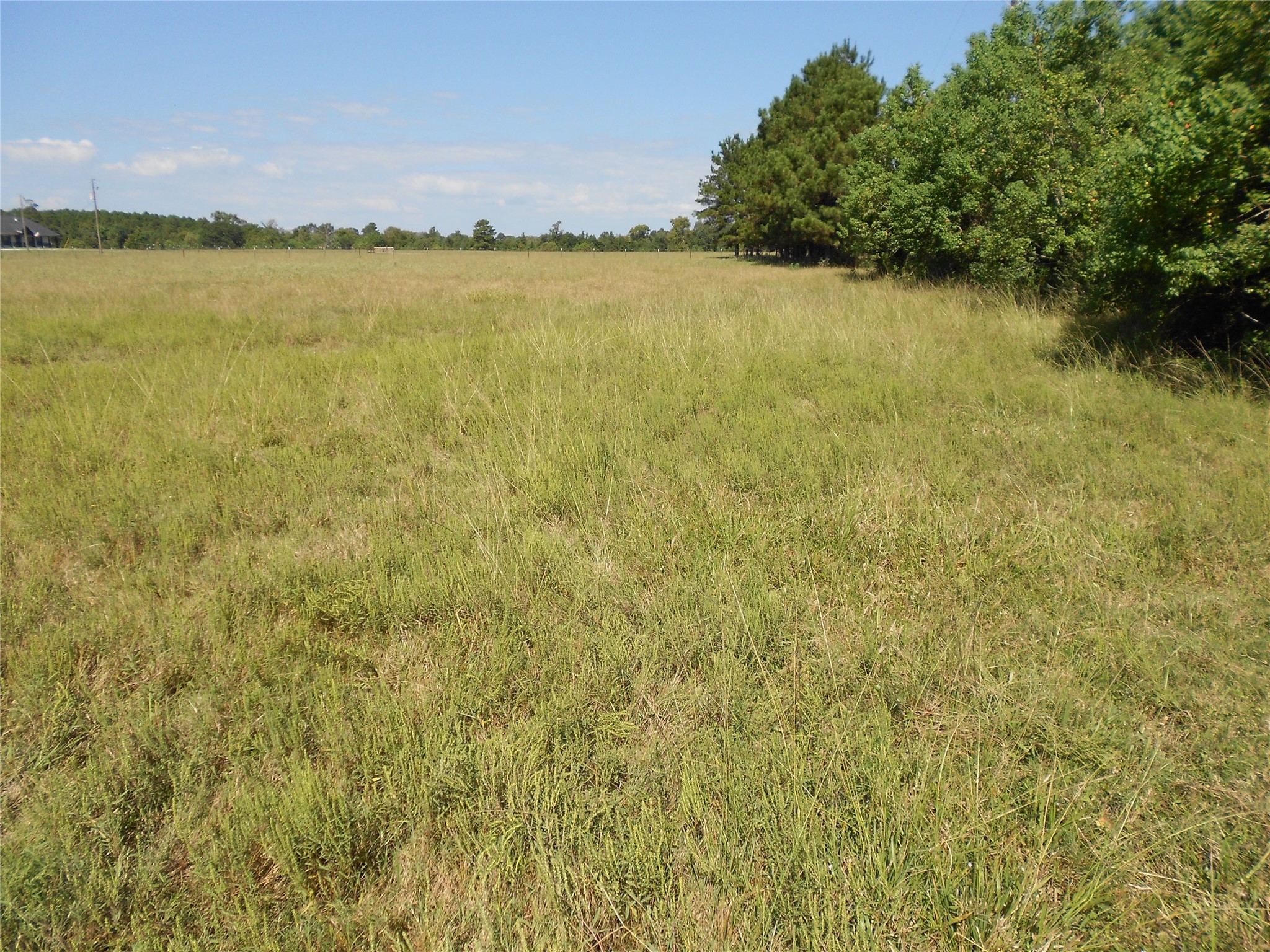 Tbd Turner Street Groveton, TX 75845 - Photo 2 of 10