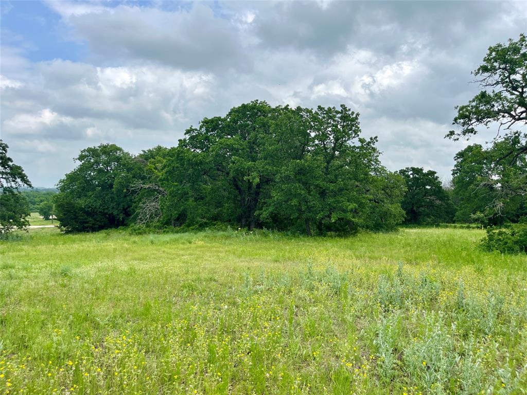 Lot 13 Arlow Road Poolville, TX 76487 - Photo 3 of 18 View of nature