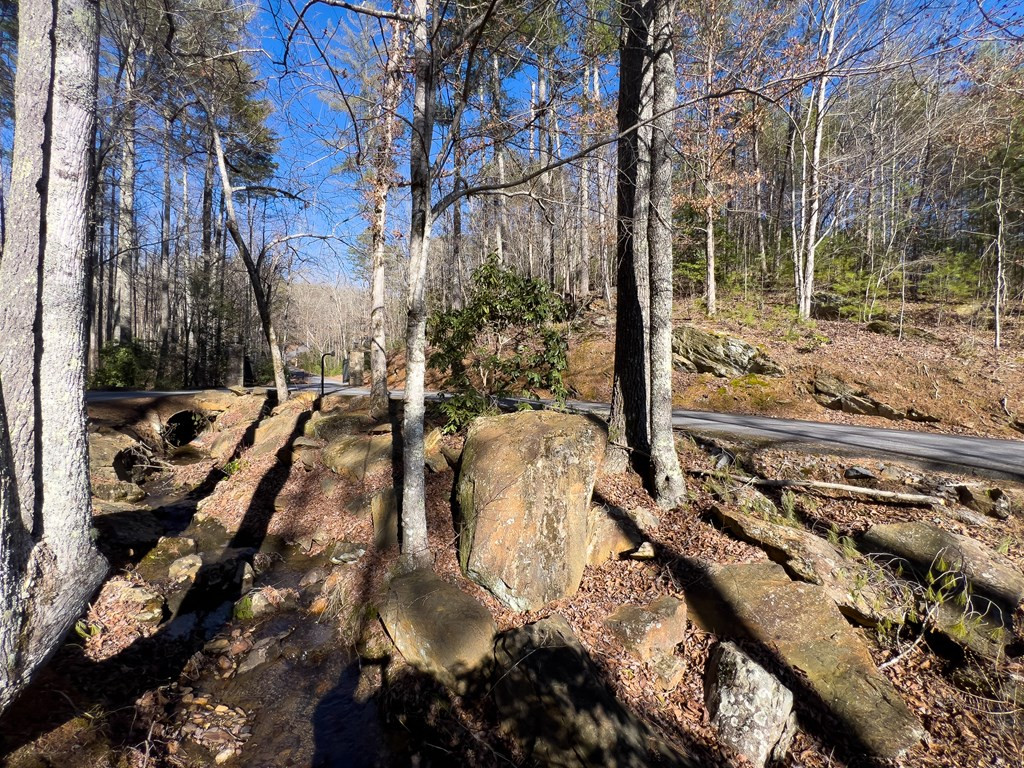 Lot 35 Mission Ridge Hayesville, NC 28904 - Photo 15 of 15