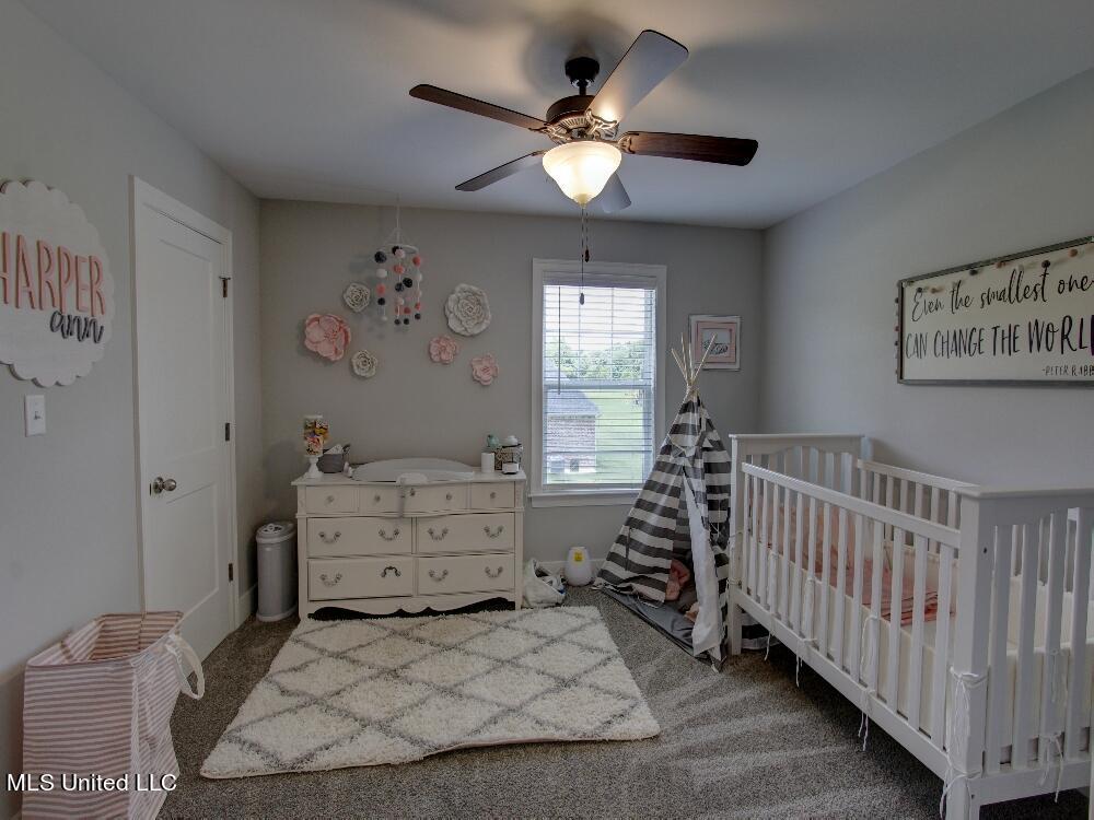 7321 Vaiden Road Hernando, MS 38632 - Photo 28 of 47 _MG_0434_5_6