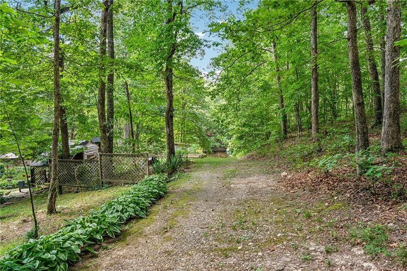 315 Rhine Road Southeast White, GA 30184 - Photo 29 of 59 a view of a forest with trees