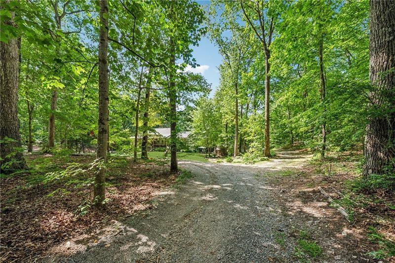 315 Rhine Road Southeast White, GA 30184 - Photo 46 of 59 a view of a forest with trees in the background