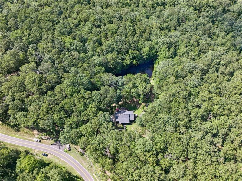 315 Rhine Road Southeast White, GA 30184 - Photo 53 of 59 a close up of a plant in a garden