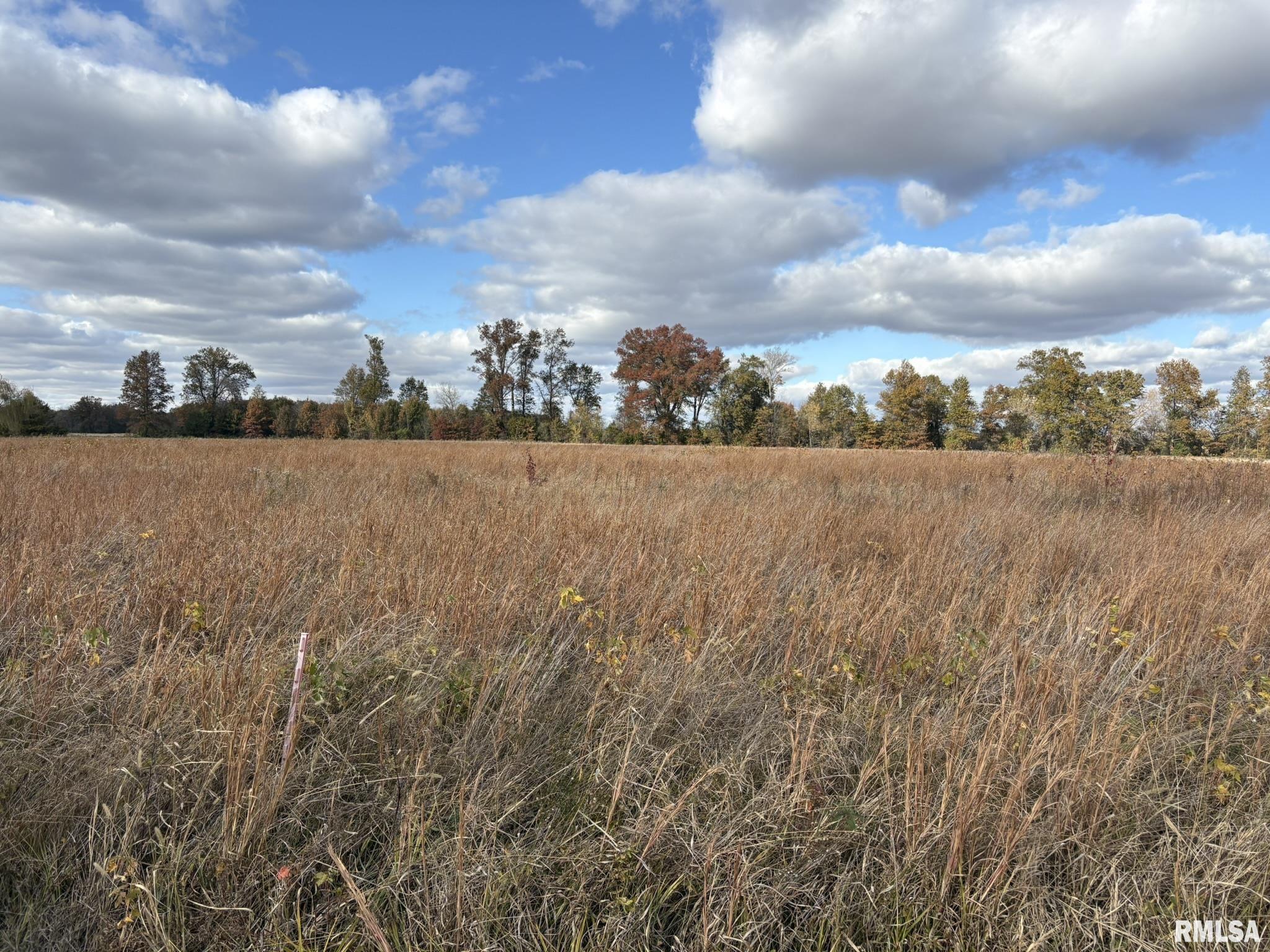 0 Bowling Alley Road Benton, IL 62812 - Photo 2 of 3