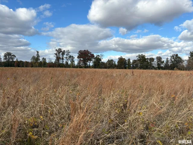 $49,000 | 0 Bowling Alley Road, Benton, IL 62812