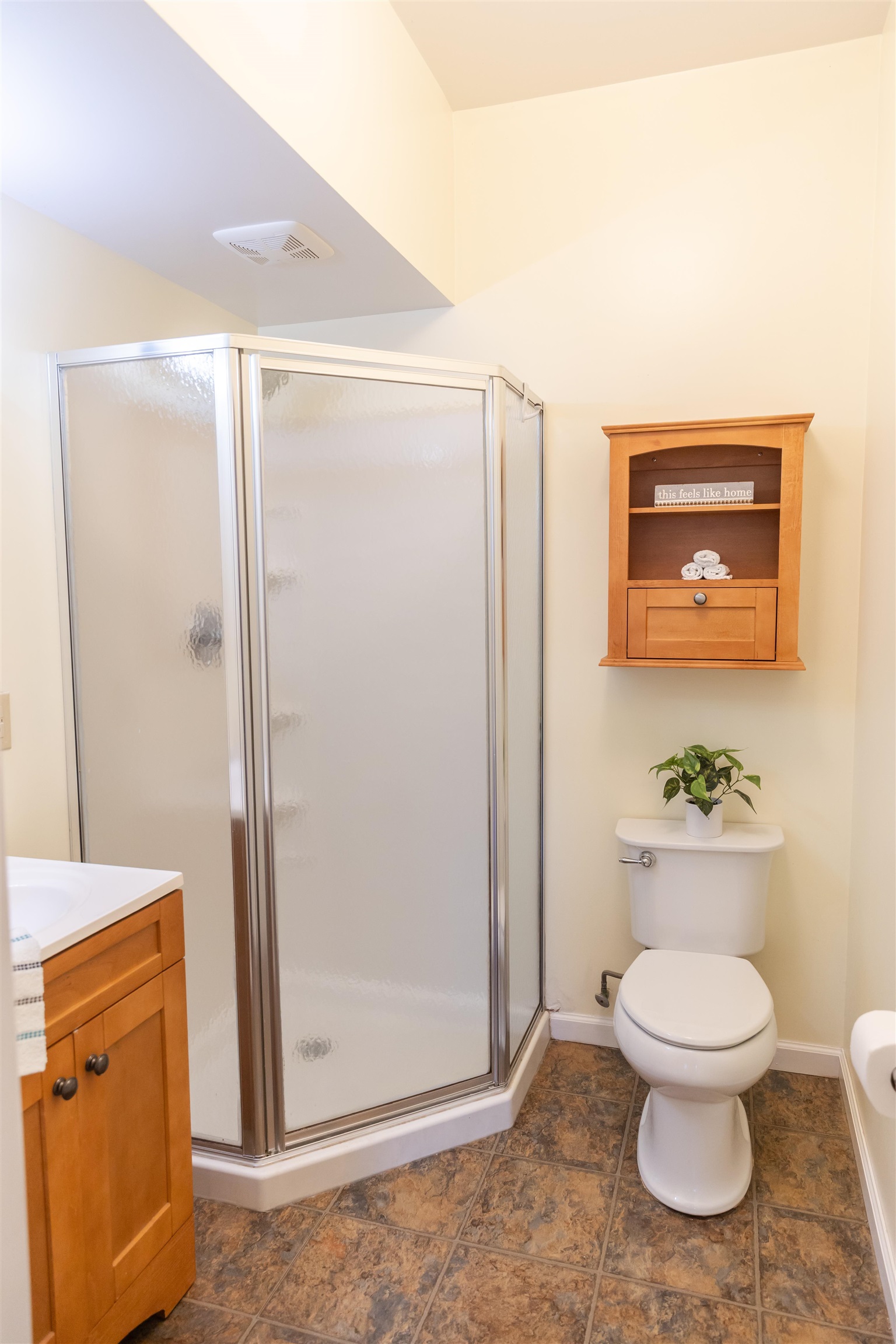303 Summit Street Lexington, VA 24450 - Photo 28 of 58 a bathroom with a toilet and a shower