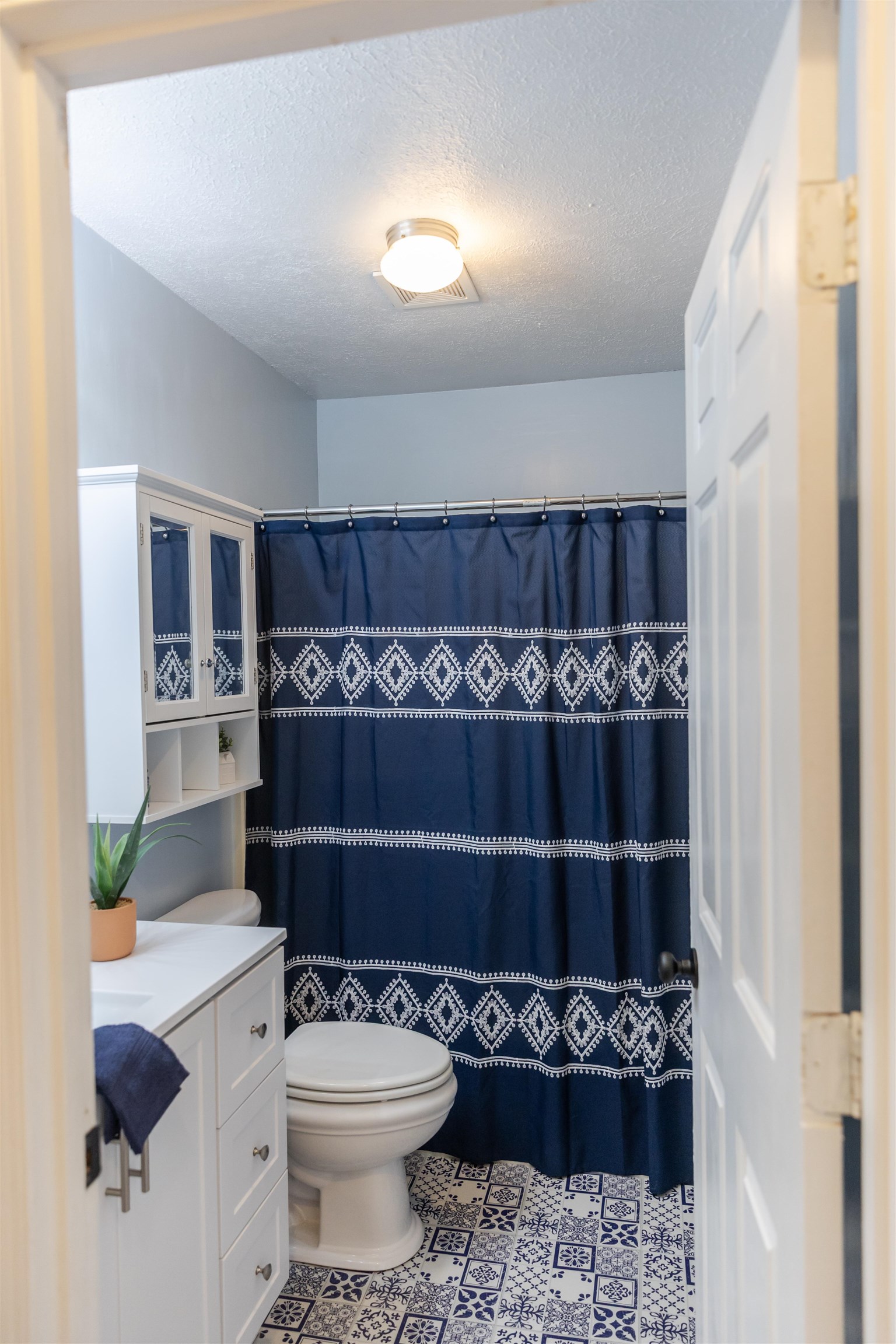 303 Summit Street Lexington, VA 24450 - Photo 37 of 58 a bathroom with a toilet and a shower