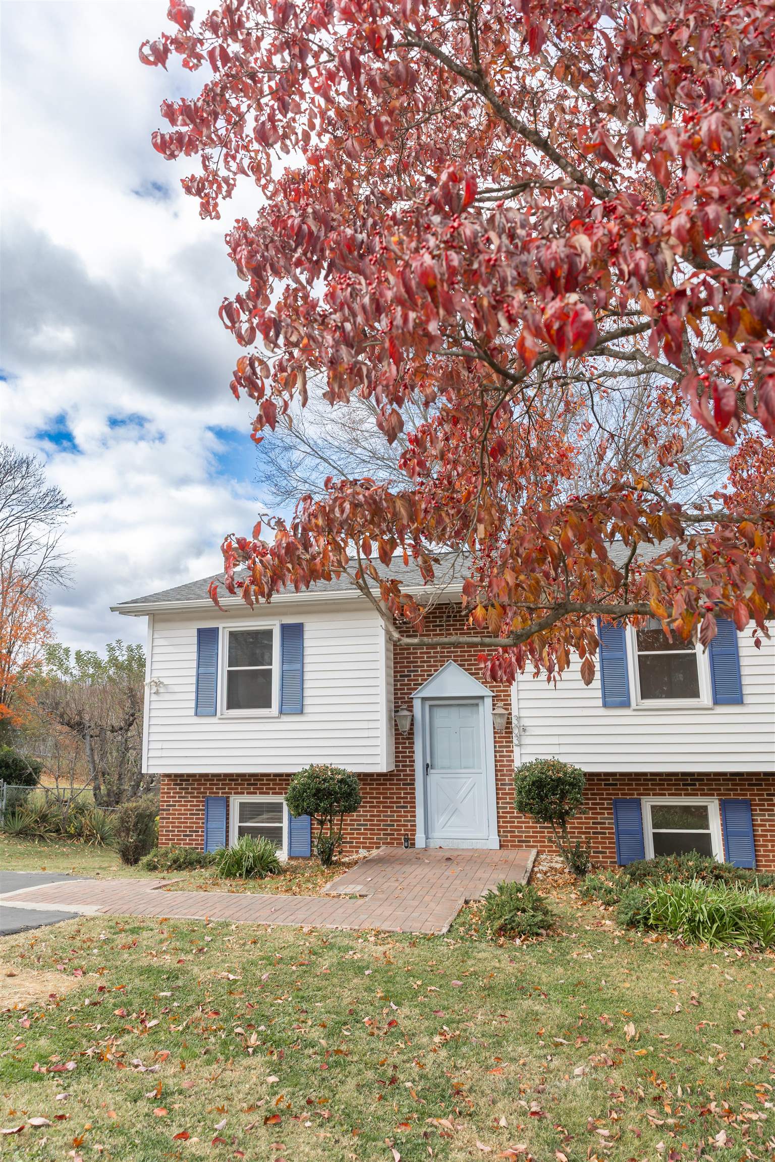303 Summit Street Lexington, VA 24450 - Photo 4 of 58 a front view of a house with a garden and tree