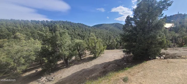 a view of a field with a tree in the background