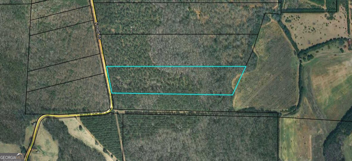 0 Fossett Road Zebulon, GA 30295 - Photo 2 of 2