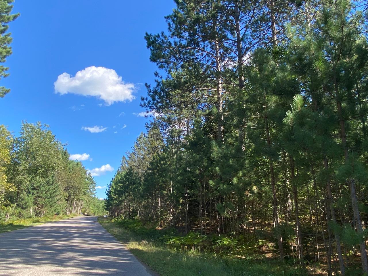 5-6 Dyer Road, Unit LOTS # Eagle River, WI 54521 - Photo 3 of 21 Gallery Image 3