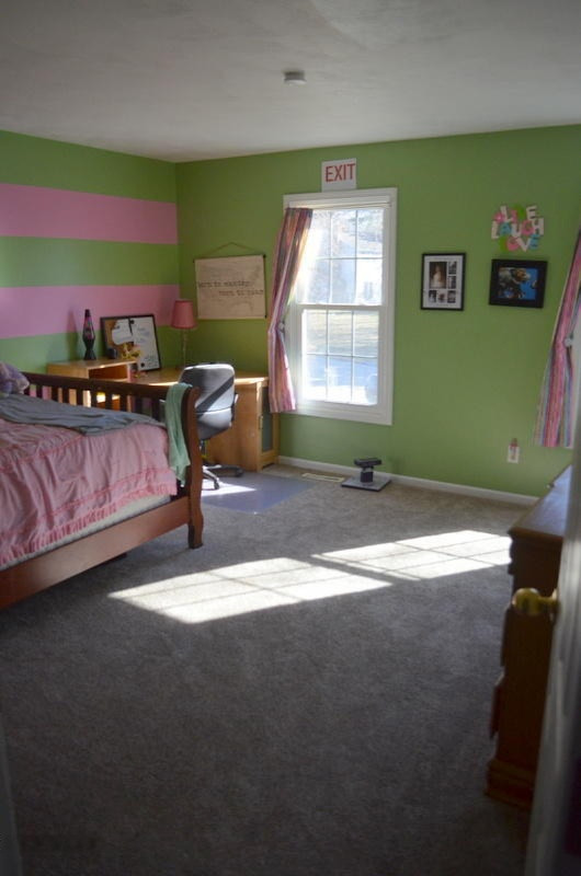 7684 Hunters Ridge Drive Kalamazoo, MI 49009 - Photo 22 of 74 DSC_0028