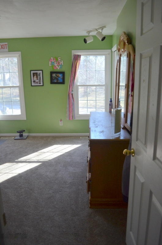 7684 Hunters Ridge Drive Kalamazoo, MI 49009 - Photo 23 of 74 DSC_0029