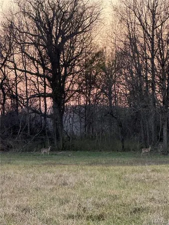 $148,000 | 000 County Road 7830, Caulfield, MO 65626