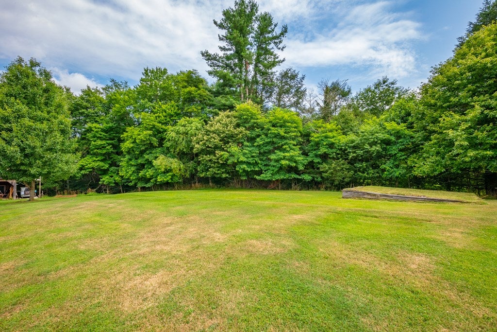 1092 Suiter Road Bland, VA 24315 - Photo 48 of 69 Gallery Image 48