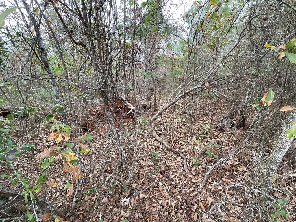 0 Booster Club Road, Unit 39 Bainbridge, GA 39819 - Photo 9 of 24 Gallery Image 9
