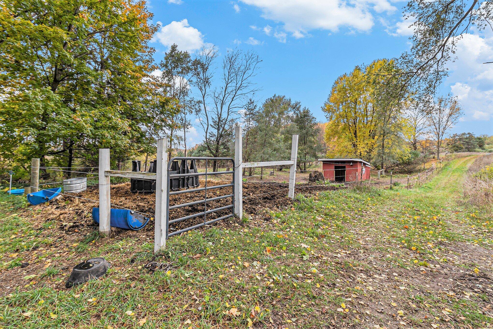 2577 South Custer Road Custer, MI 49405 - Photo 28 of 33 Pasture