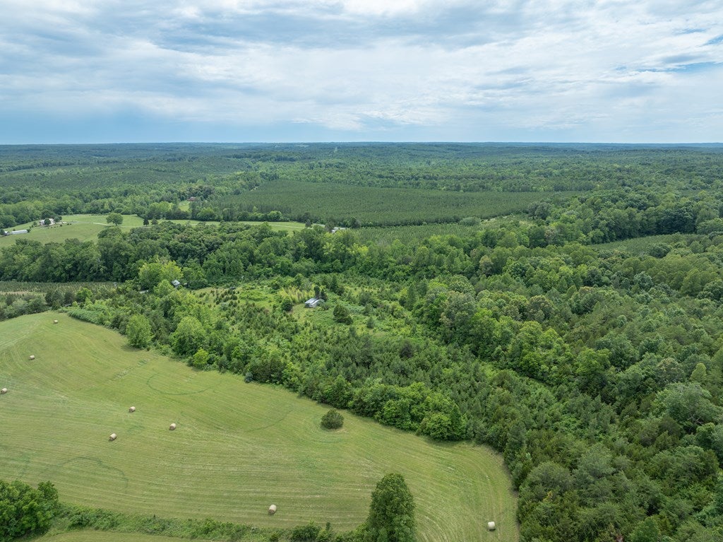 Featherfin Road, Unit 3B Prospect, VA 23960 - Photo 18 of 35 Gallery Image 18