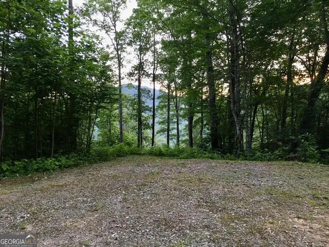 a view of a yard with trees
