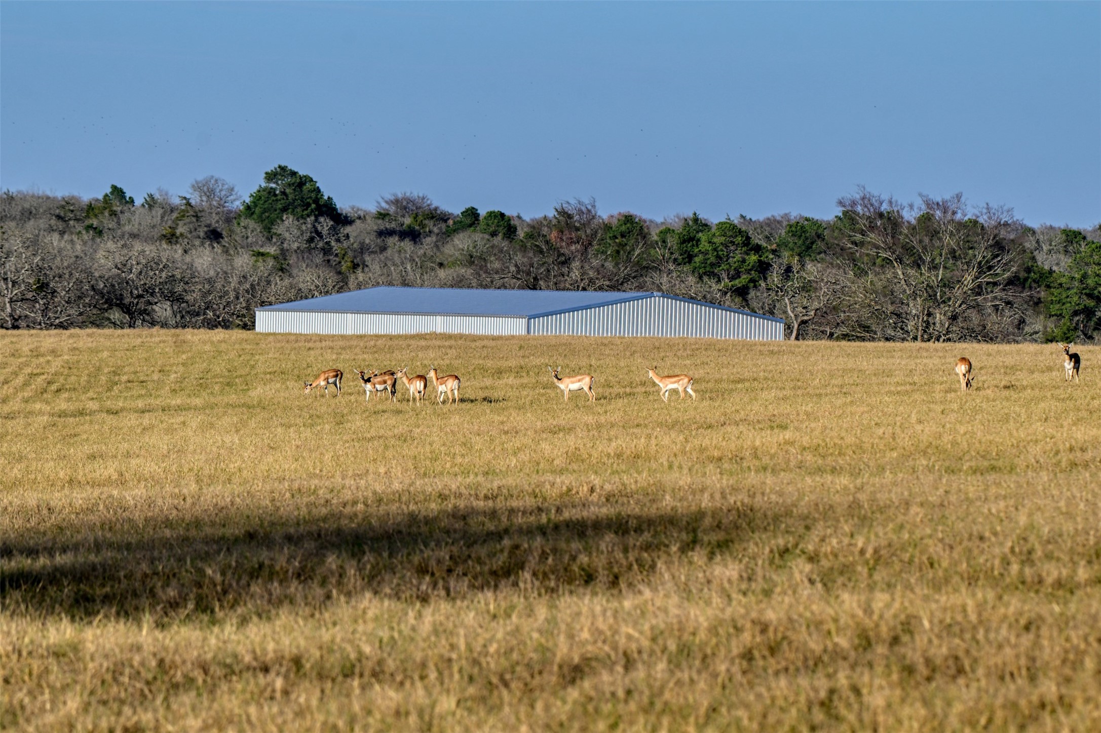 6785 Jones Orchard Road Franklin, TX 77856 - Photo 23 of 38