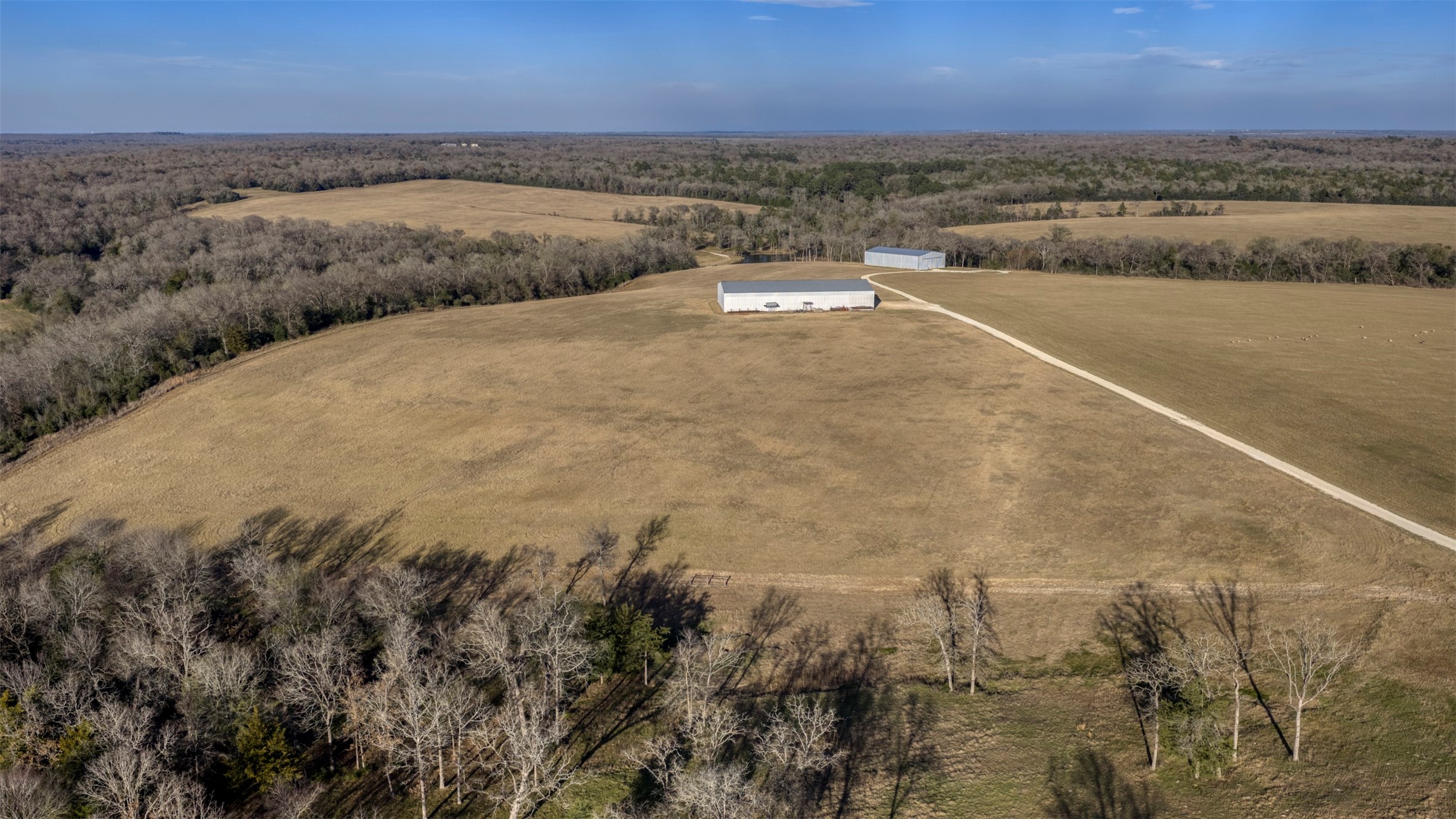 6785 Jones Orchard Road Franklin, TX 77856 - Photo 24 of 38