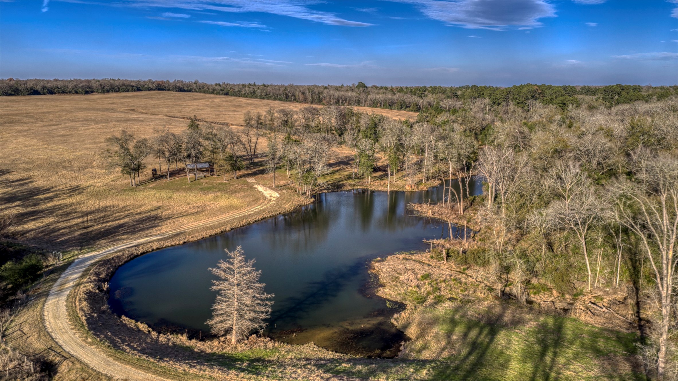 6785 Jones Orchard Road Franklin, TX 77856 - Photo 30 of 38
