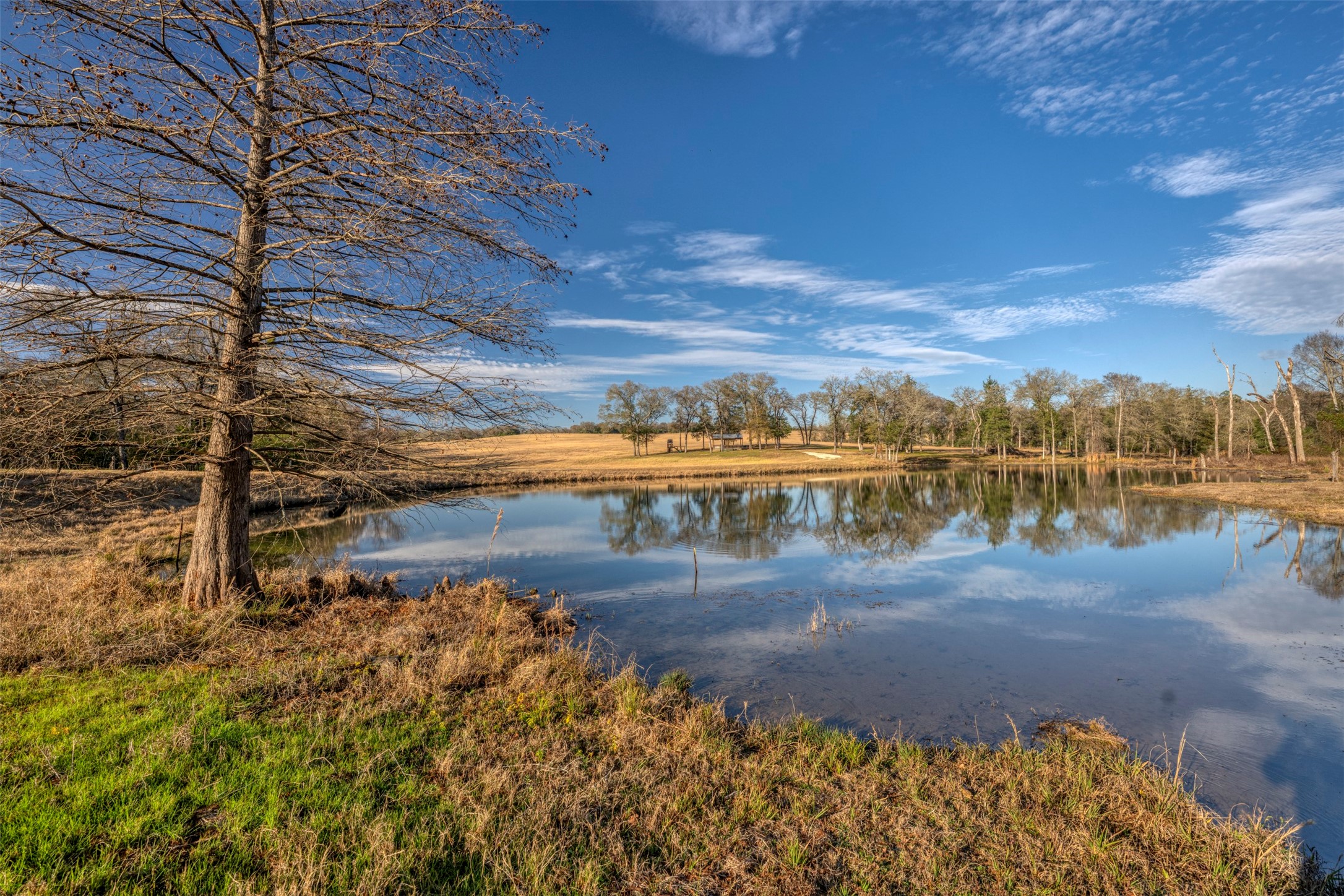 6785 Jones Orchard Road Franklin, TX 77856 - Photo 3 of 38