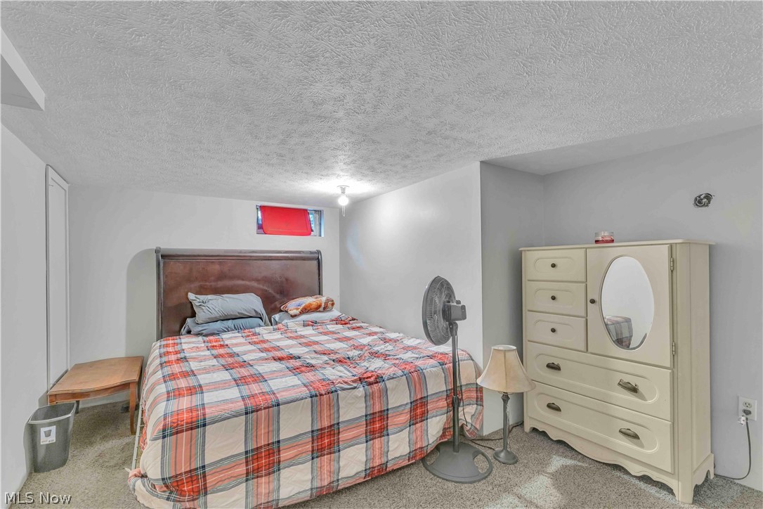 10273 East River Road Elyria, OH 44035 - Photo 26 of 40