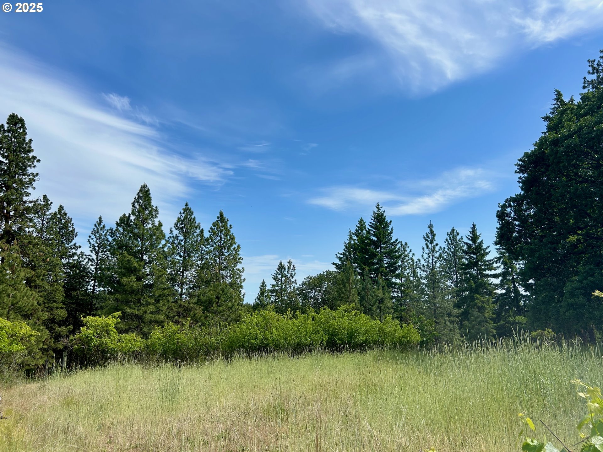 498 Turkey Ranch Road Goldendale, WA 98620 - Photo 8 of 18 Gallery Image 8