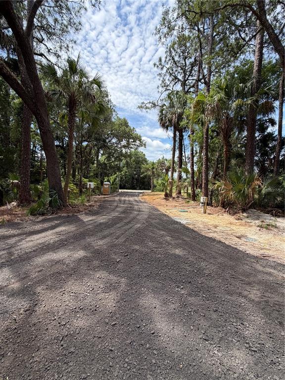 1438 Lake Harney Road Geneva, FL 32732 - Photo 4 of 17