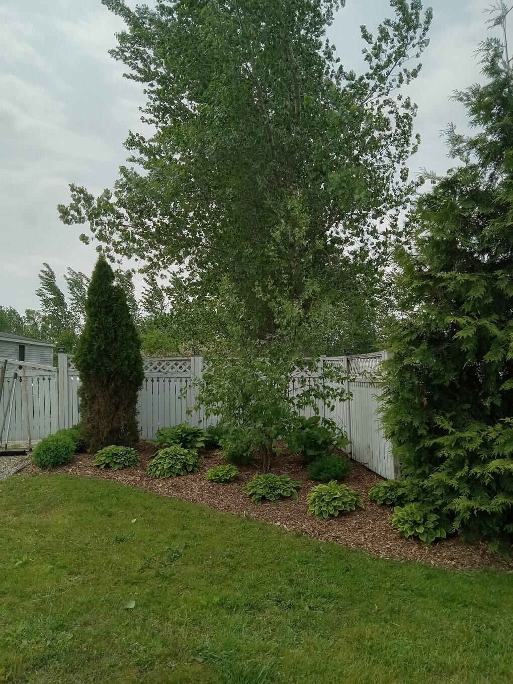 7550 Carncross Road Pittsford, MI 49271 - Photo 58 of 63 20250604_122634