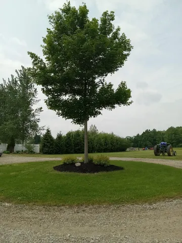 $259,000 | 7550 Carncross Road, Pittsford, MI 49271