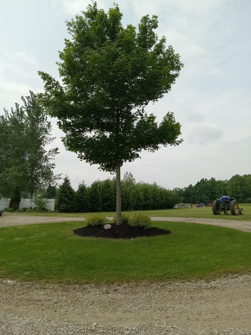 7550 Carncross Road Pittsford, MI 49271 - Photo 59 of 63 20250604_122553