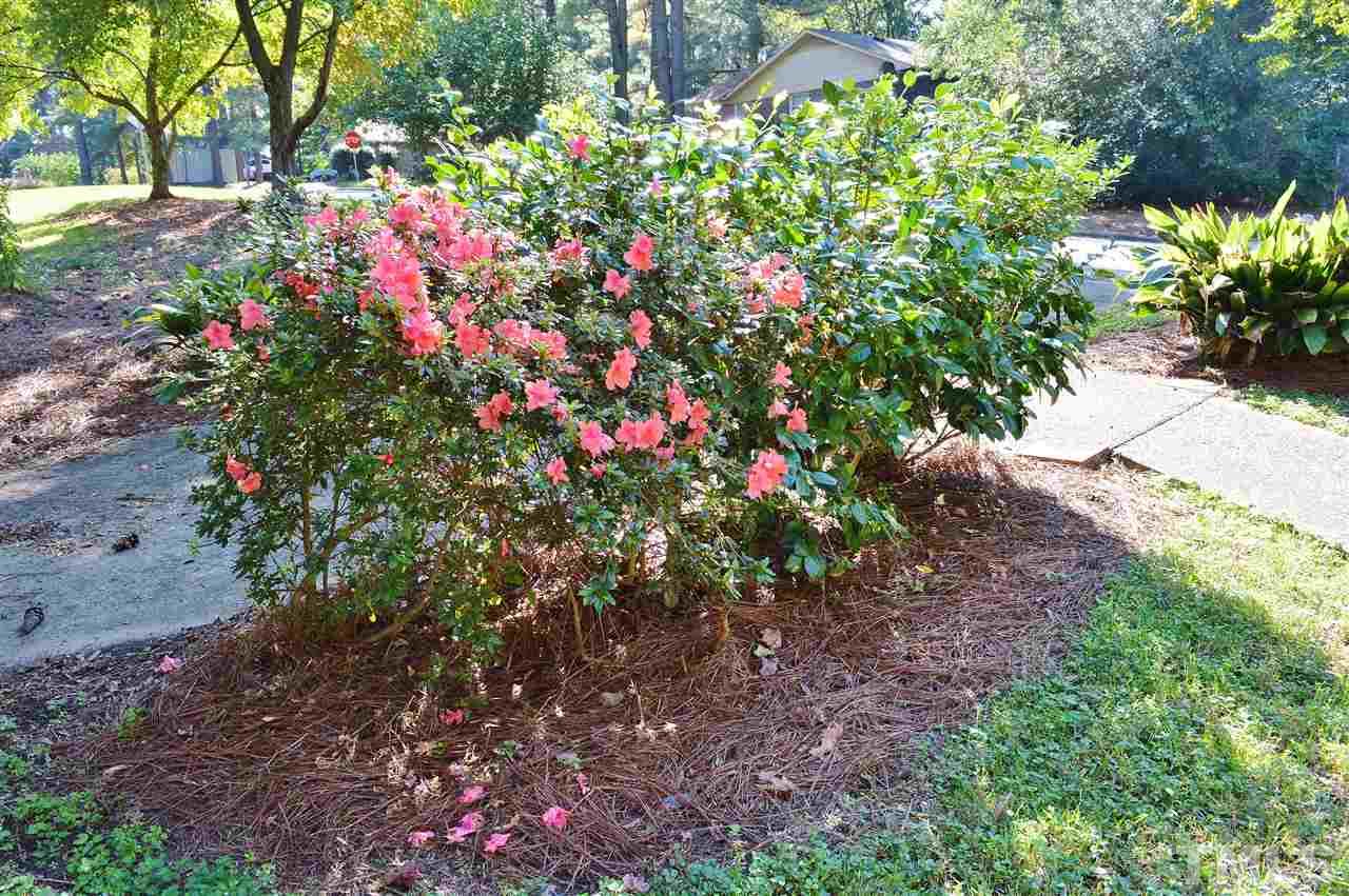 3104 Chancery Place Raleigh, NC 27607 - Photo 24 of 25 There are still azaleas blooming in the yard in October.