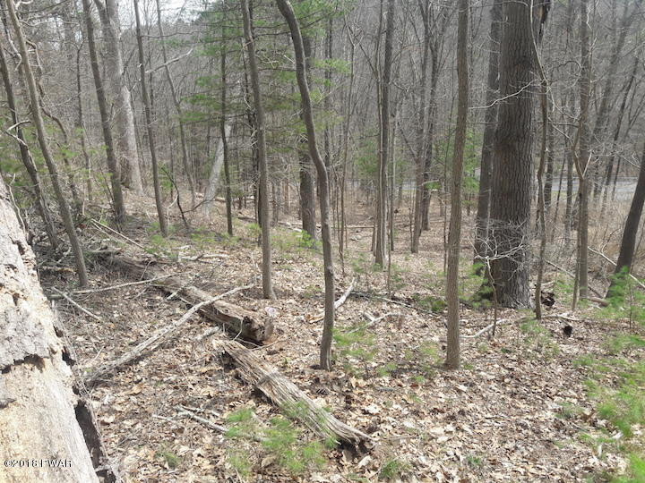 Christian Hill Road Milford, PA 18337 - Photo 2 of 22