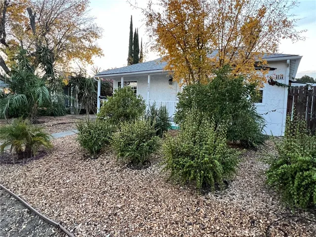 a view of backyard with potted plants and a large tree
