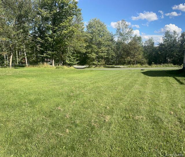 405 Burnt Hill Road Roscoe, NY 12776 - Photo 4 of 11 View of green lawn
