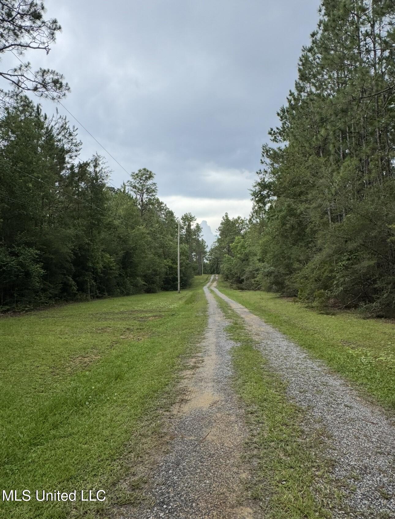 22452 Joe Windom Road Saucier, MS 39574 - Photo 8 of 27 22452 Joe Windom