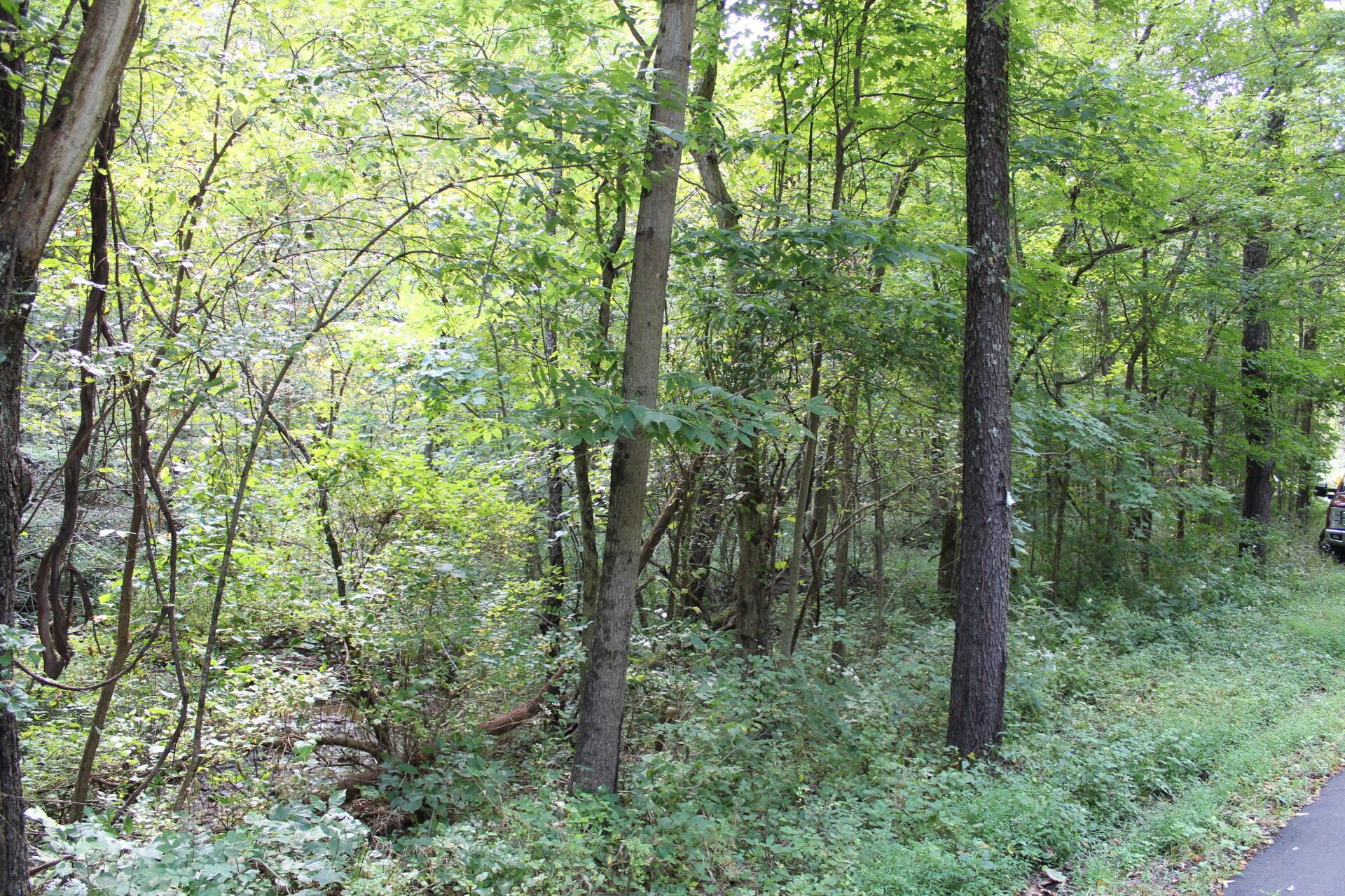 0 Battee Road Alexandria, OH 43001 - Photo 14 of 27