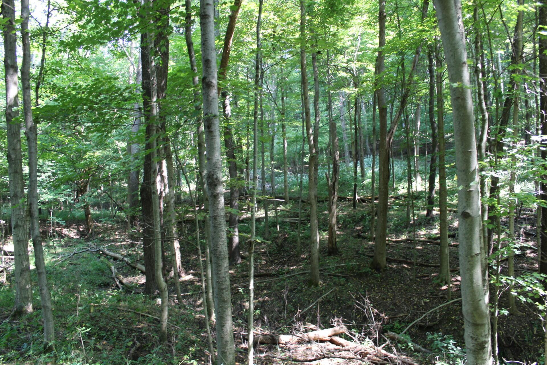 0 Battee Road Alexandria, OH 43001 - Photo 20 of 27
