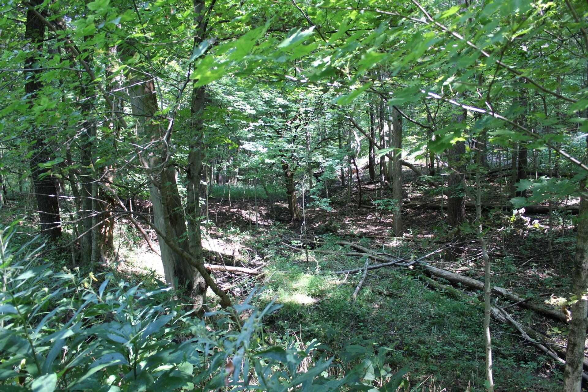 0 Battee Road Alexandria, OH 43001 - Photo 22 of 27