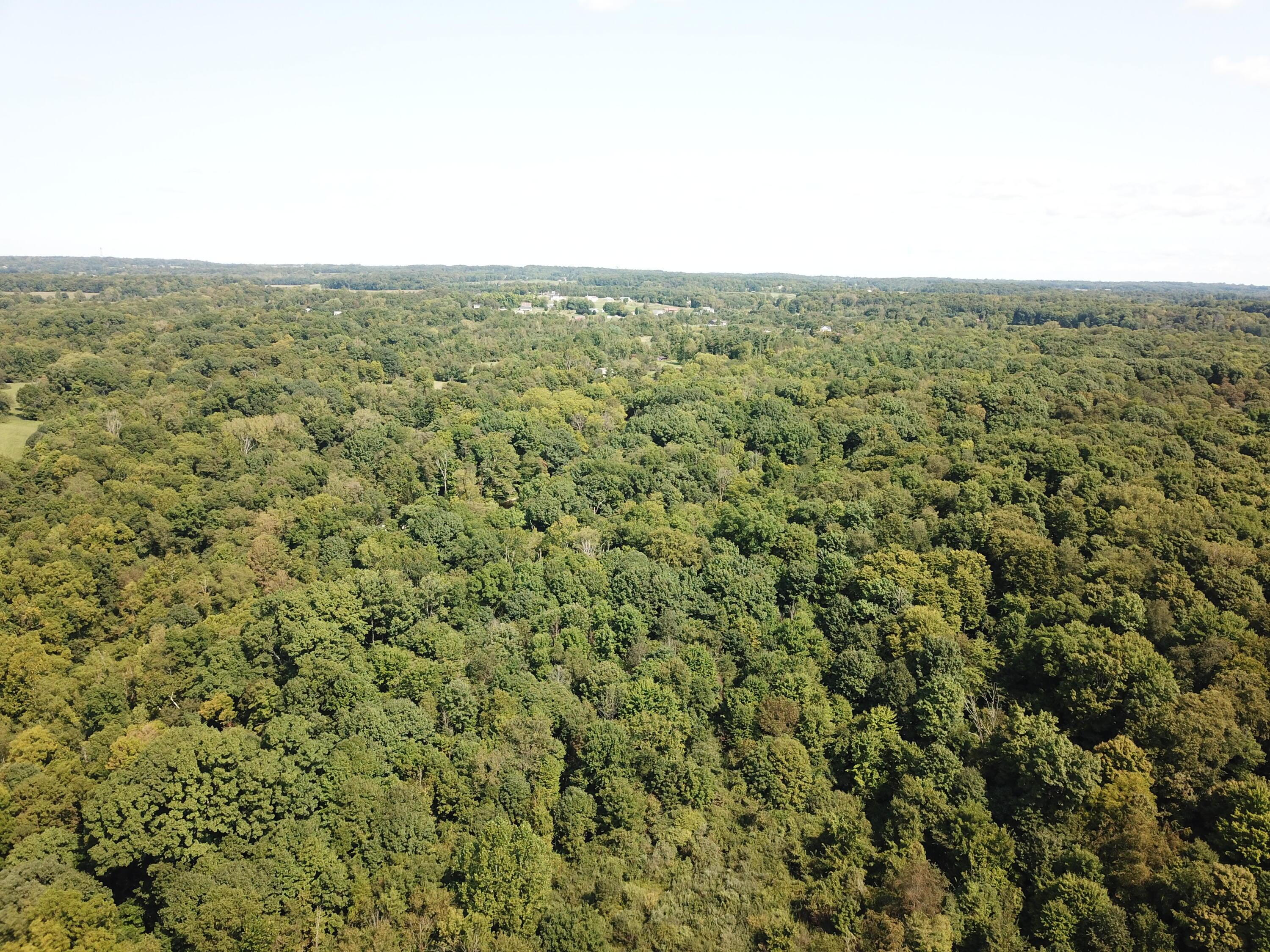 0 Battee Road Alexandria, OH 43001 - Photo 7 of 27