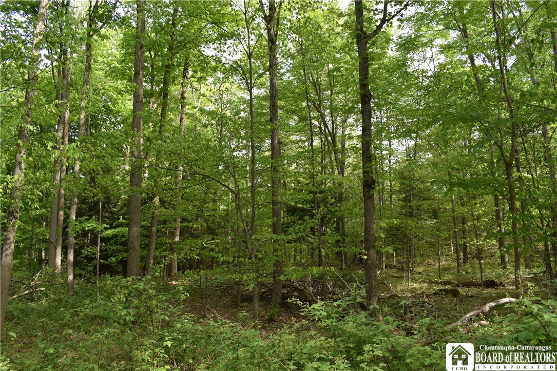10133 Edward Corners Road Perrysburg, NY 14129 - Photo 13 of 28